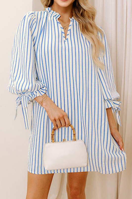 Coastal Stripe Mini Dress