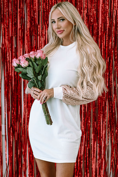Starlight Sequin Sleeve Dress
